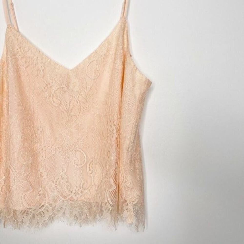 WAYF Lace Crop Top  - Picture 2 of 8